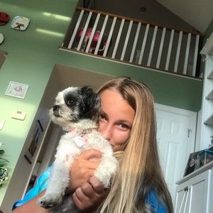 Meet your Posher, Allie